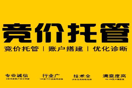 百度推广费用解析：价格策略案例分析
